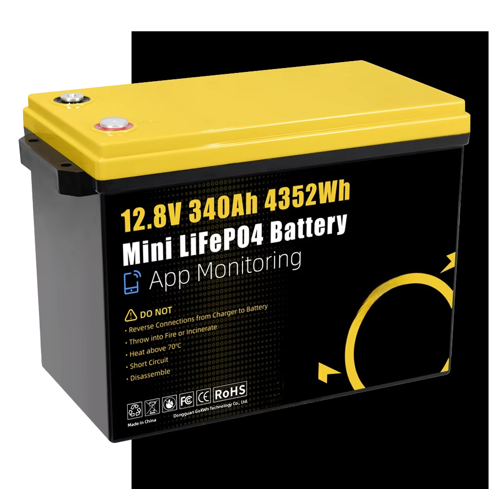 GoKWh البحرية 12 فولت Lifepo4  - مراجعة Rv Lithium Battery 200Ah وسعره