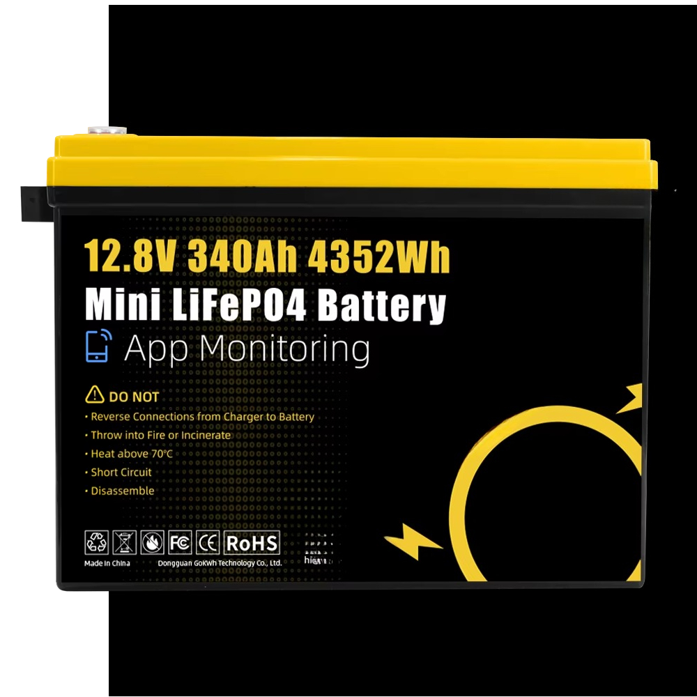 GoKWh البحرية 12 فولت Lifepo4  - مراجعة Rv Lithium Battery 200Ah وسعره