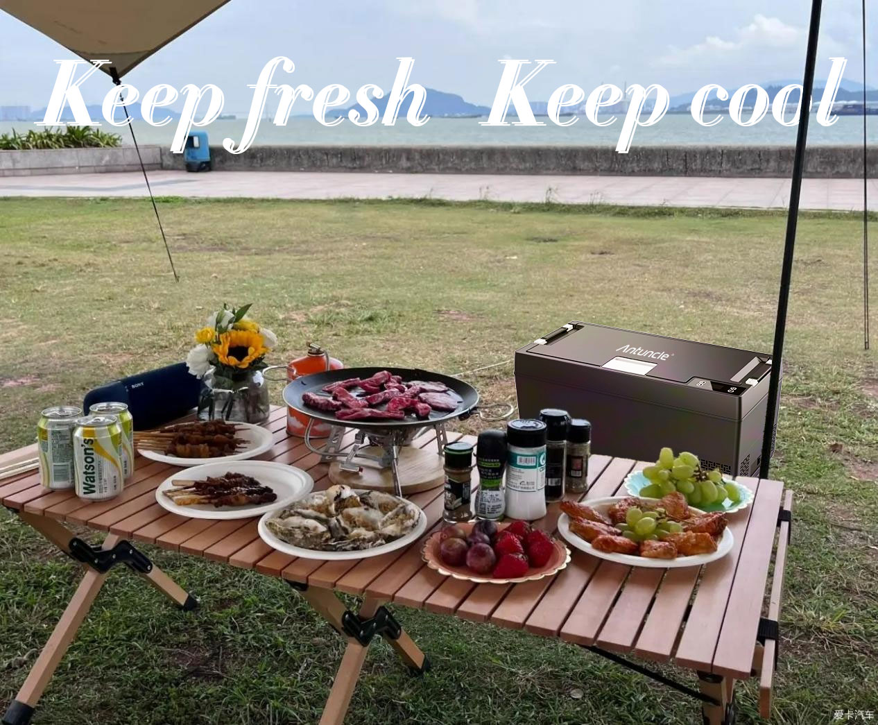 ثلاجة سيارة صغيرة للتخييم 4x4، - مراجعة 12V Fridge Freezer Rv وسعره
