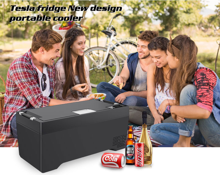 ثلاجة سيارة صغيرة للتخييم 4x4، - مراجعة 12V Fridge Freezer Rv وسعره